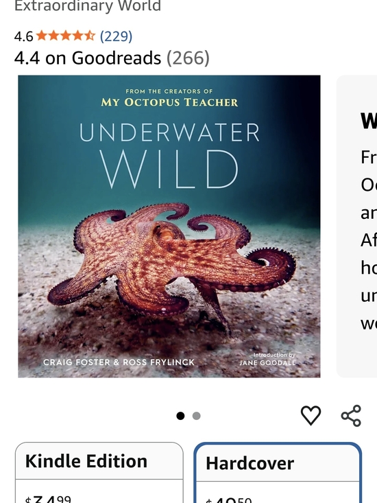 Other - Underwater Wild Hardcover Book - Teal & Orange Cover